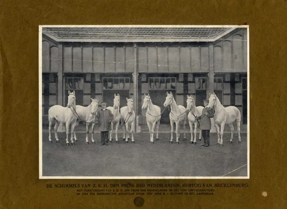 Zwart wit foto van acht witte Lippizaner paarden en twee stalmeesters