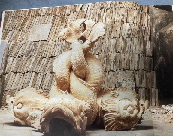 de dolfijnensprong zoals die werd gevonden in 1972