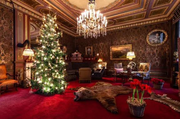 Kerstboom met verlichting in de zitkamer prins Hendrik