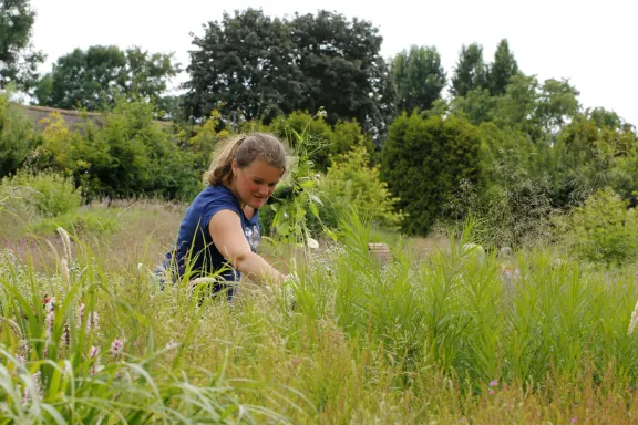 Karin Laarakker aan het werk in vlinderhof