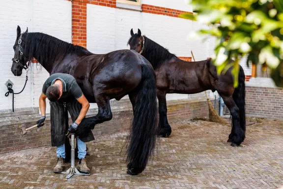 Hufschmied mit Pferden auf dem Platz der Stallungen von Schloss Het Loo