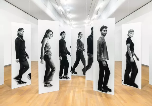 Paranoptique kunstwerk