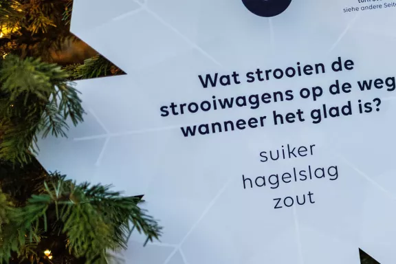 Een vraag in de sneeuwvlokkenspeurtocht tijdens het Winterpaleis