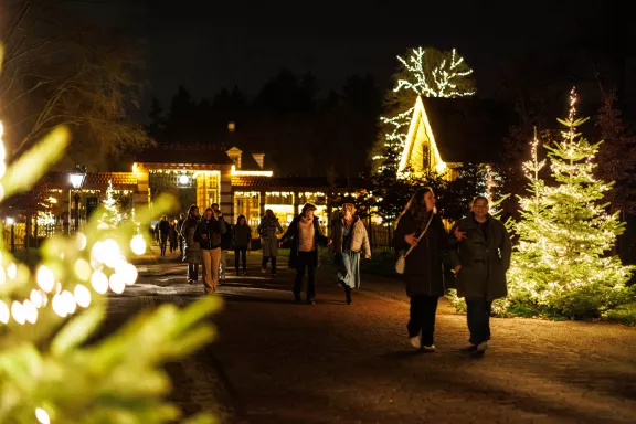 Während des Winterpalasts spazieren die Menschen im Dunkeln vom Stallplatz in Richtung des Palasts, vorbei an beleuchteten Weihnachtsbäumen