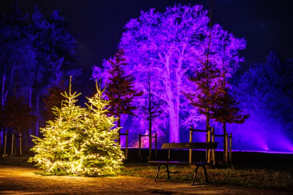 De stallenplein versierd met kerstverlichting