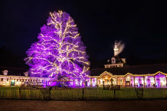Een sfeervol en kleurrijk verlichte boom en stallenplein met rook uit de schoorsteen