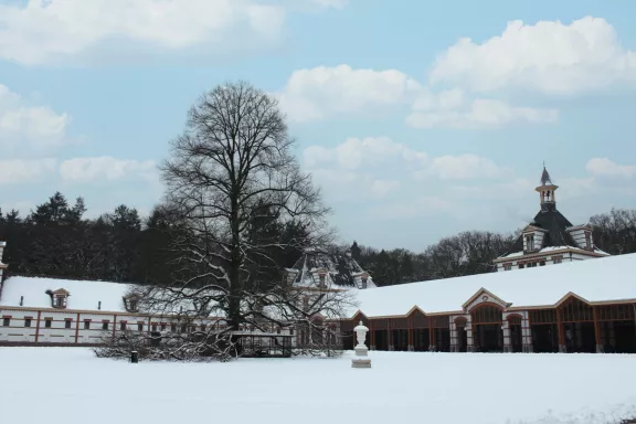 Linedboom op het besneeuwde stallenplein