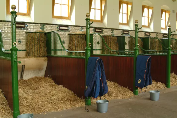 Paleis Het Loo - stable square