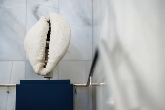 A shell that plays audio as part of Caitlin Berrigan’s artwork Diamonds