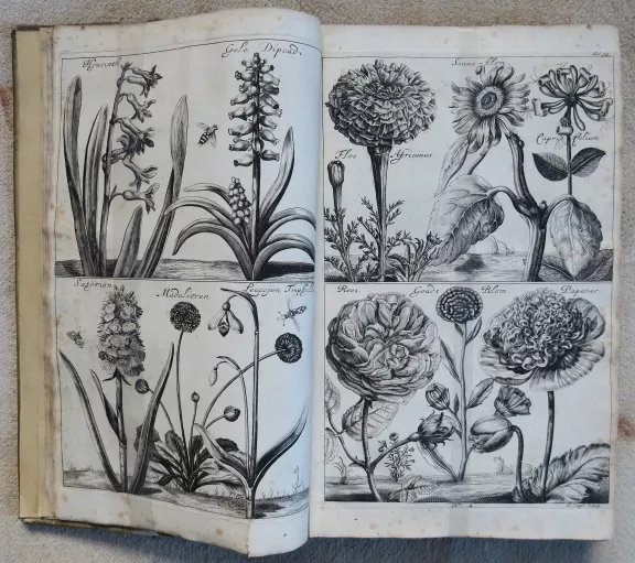 Boek met historische tekeningen van bloemen en planten