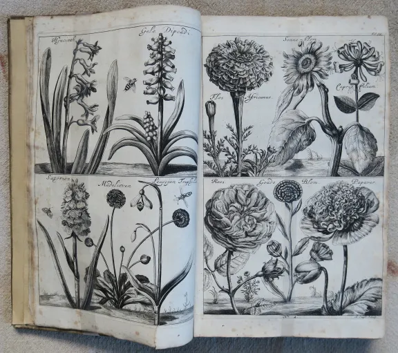 Boek met historische tekeningen van bloemen en planten