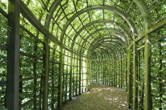 Wooden passageway of the Queen's Garden covered in leaves with the sun shining through it