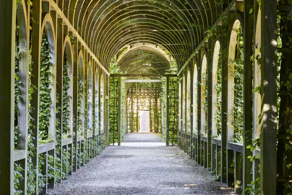 Koninginnetuin berceau