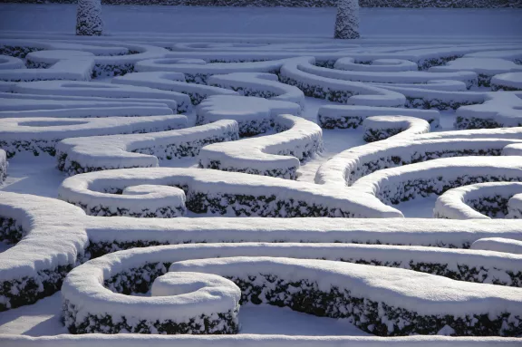Winter in de tuin
